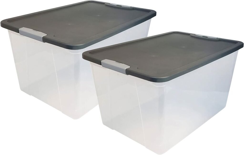 Homz 64-Quart Clear Plastic Stackable Storage Bin with Lid Container Box with Latching Handles for Home Garage Organization, Gray (2 Pack)